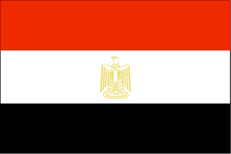 The Egypt national flag
