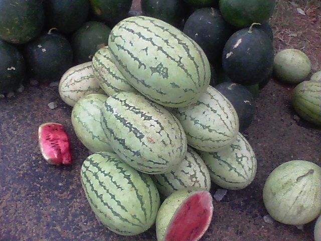 watermelon gone bad