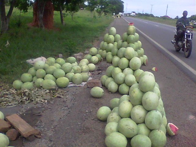 watermelon gone bad2