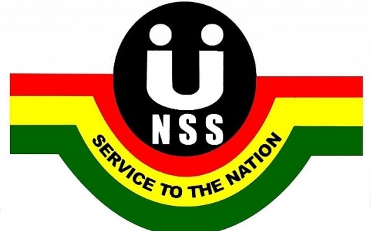 nss-530x330